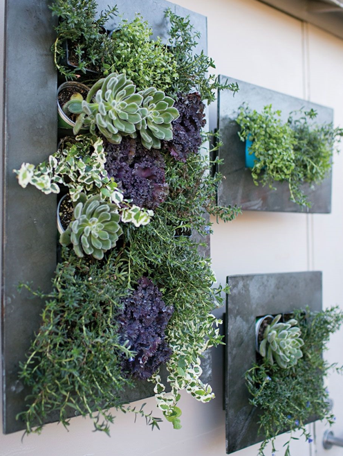 Succulent Planters wall