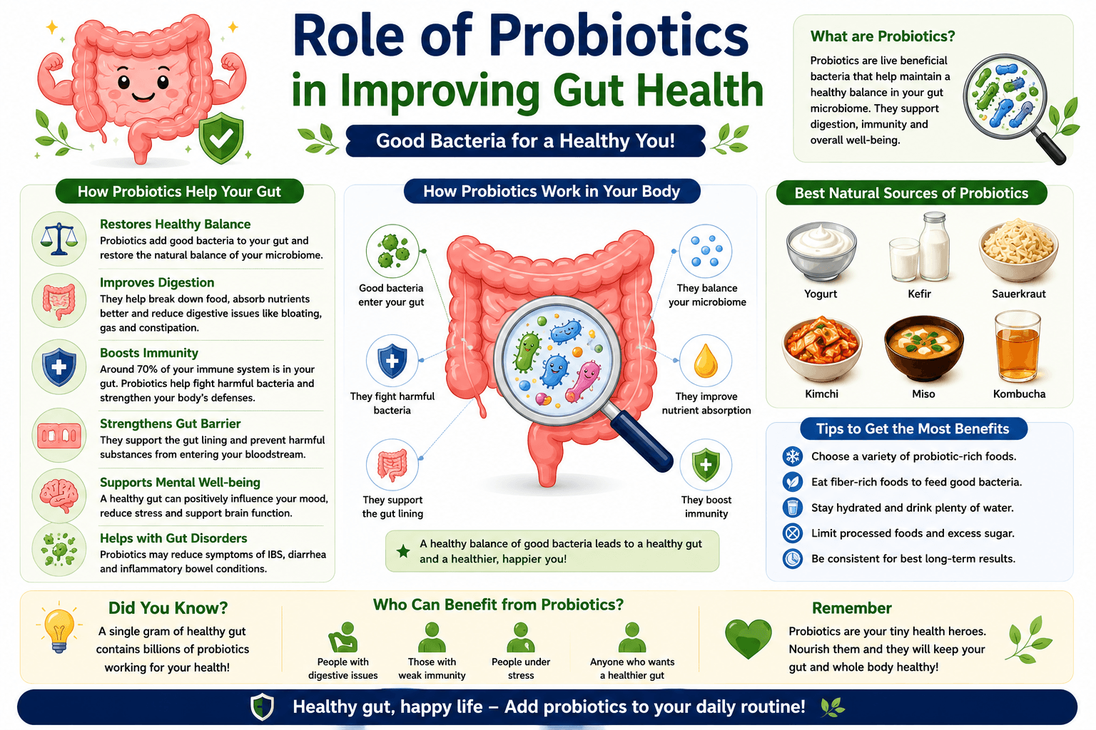 Infographic explaining the role of probiotics in improving gut health, including benefits like better digestion, stronger immunity, balanced gut bacteria, and natural probiotic food sources like yogurt, kefir, and kimchi.