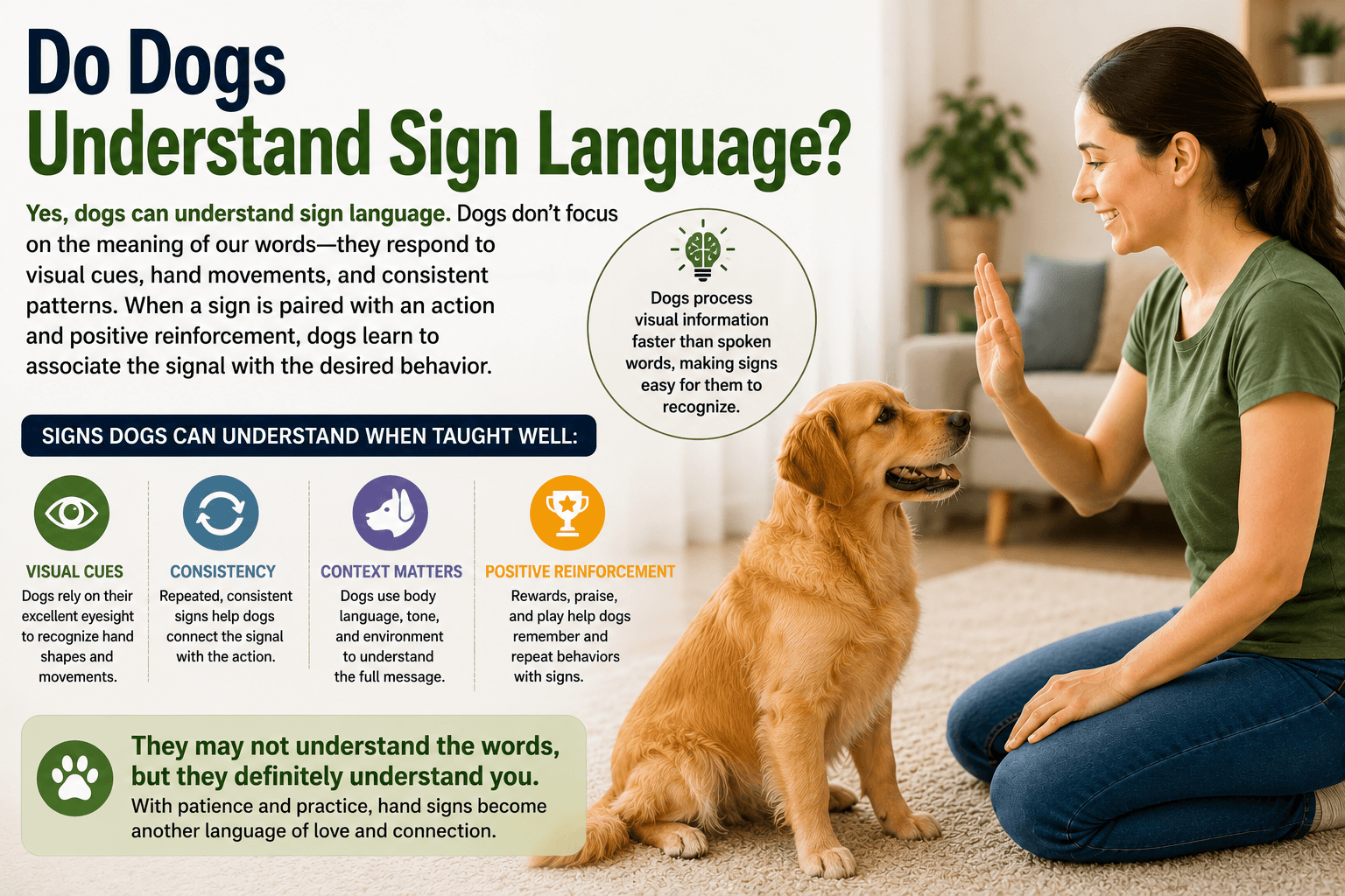 Dogs and Sign Language: Can Dogs Learn and Use ASL? | FT