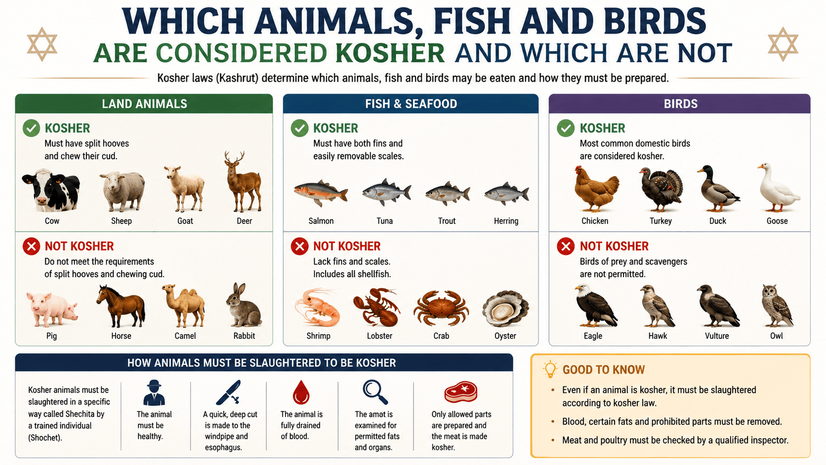 Which Animals, Fish and Birds Are Considered Kosher and Which Are Not