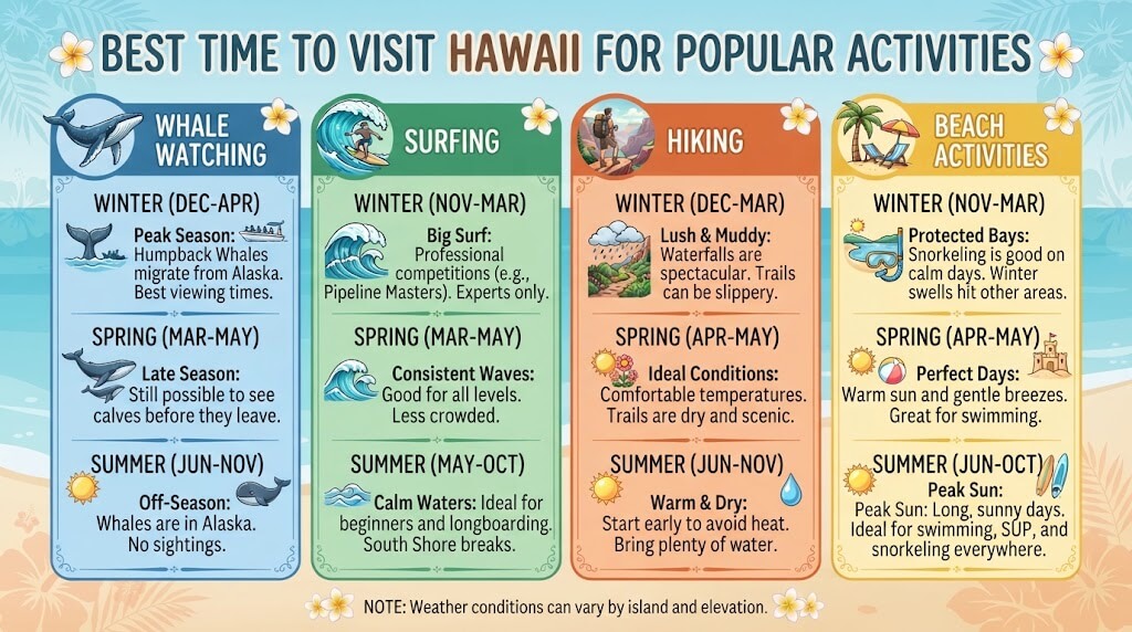 Best Time to Visit Hawaii for Popular Activities